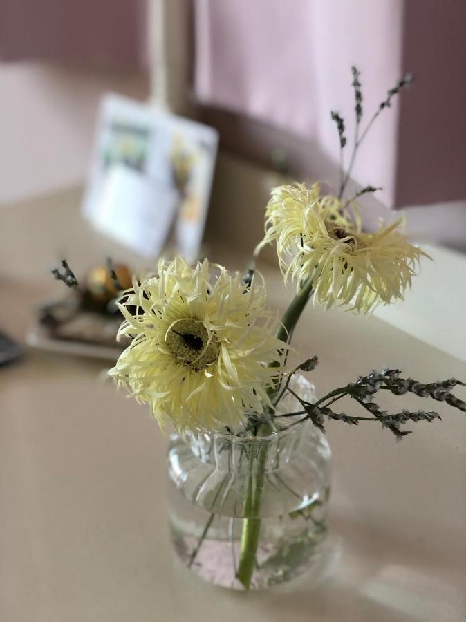 卡布-花藝小民宿 Taitung Floral B&B 외부 사진